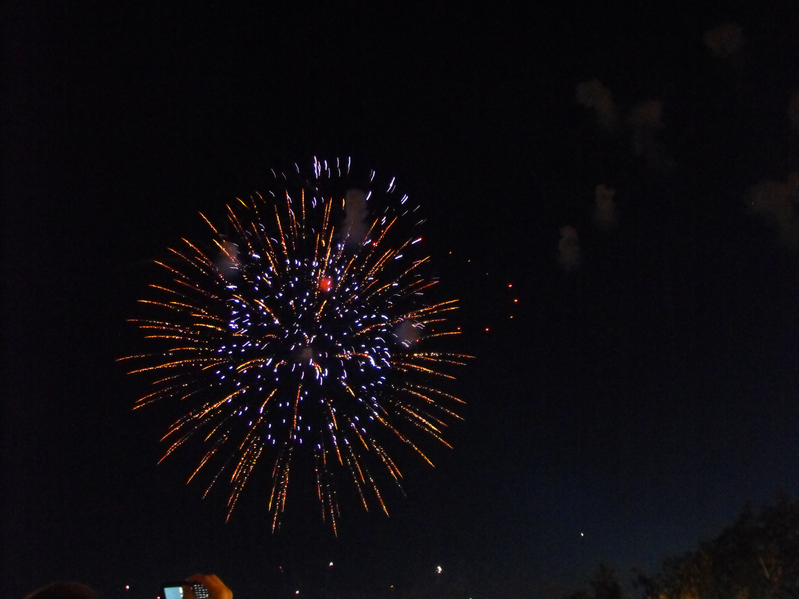./2010/Fourth of July/4th July Fireworks Wilm 0025.JPG